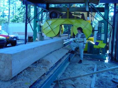Finished Timber Posts